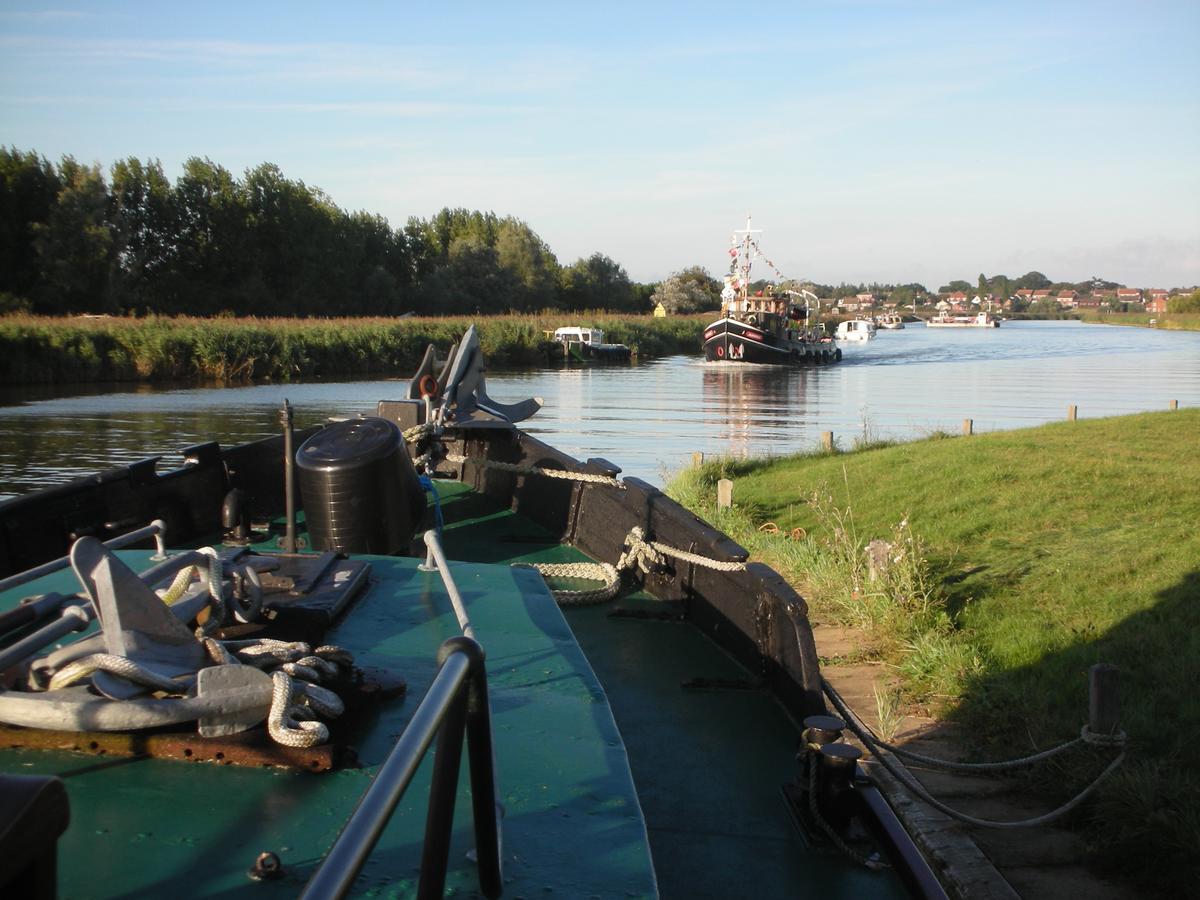 The Cockatrice B&B Reedham Eksteriør billede